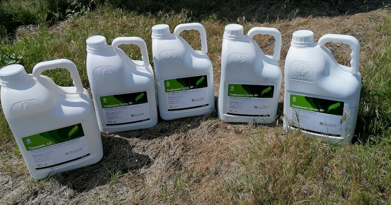 Семена | ООО Юг-Терра | Шахты